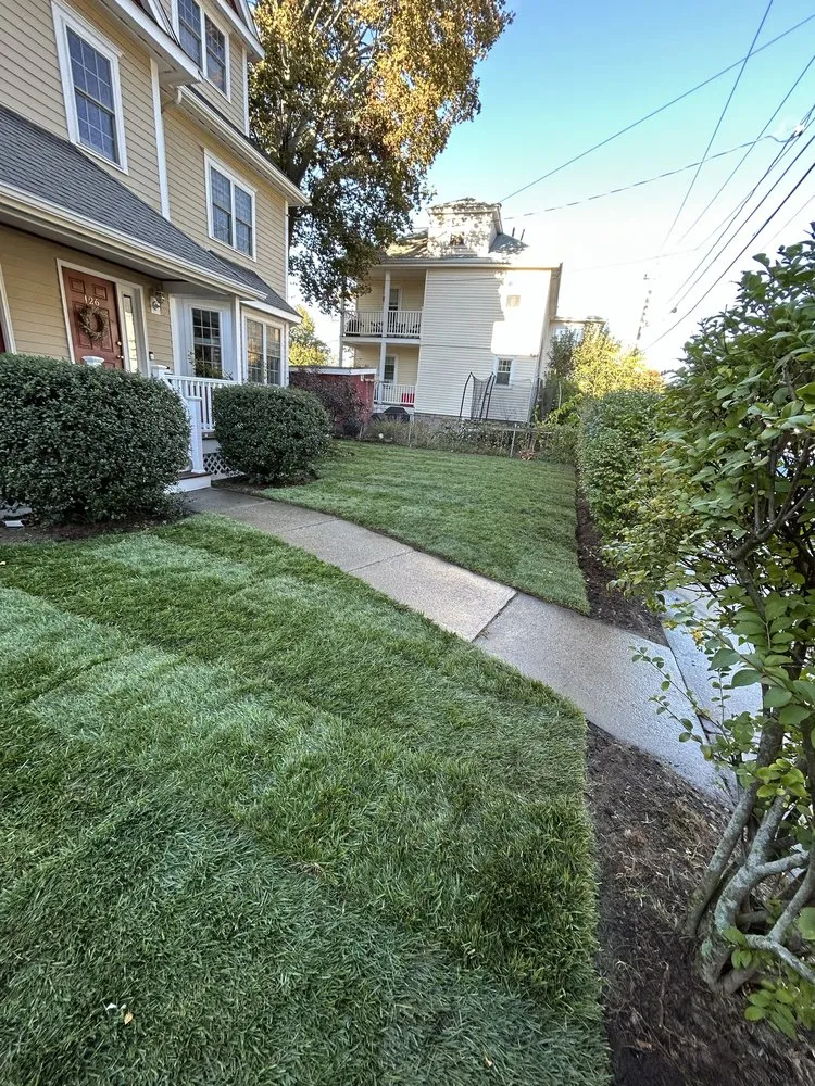 Top-rated lawn mowing service in Lynn, MA - D&W Tree Service and Landscaping