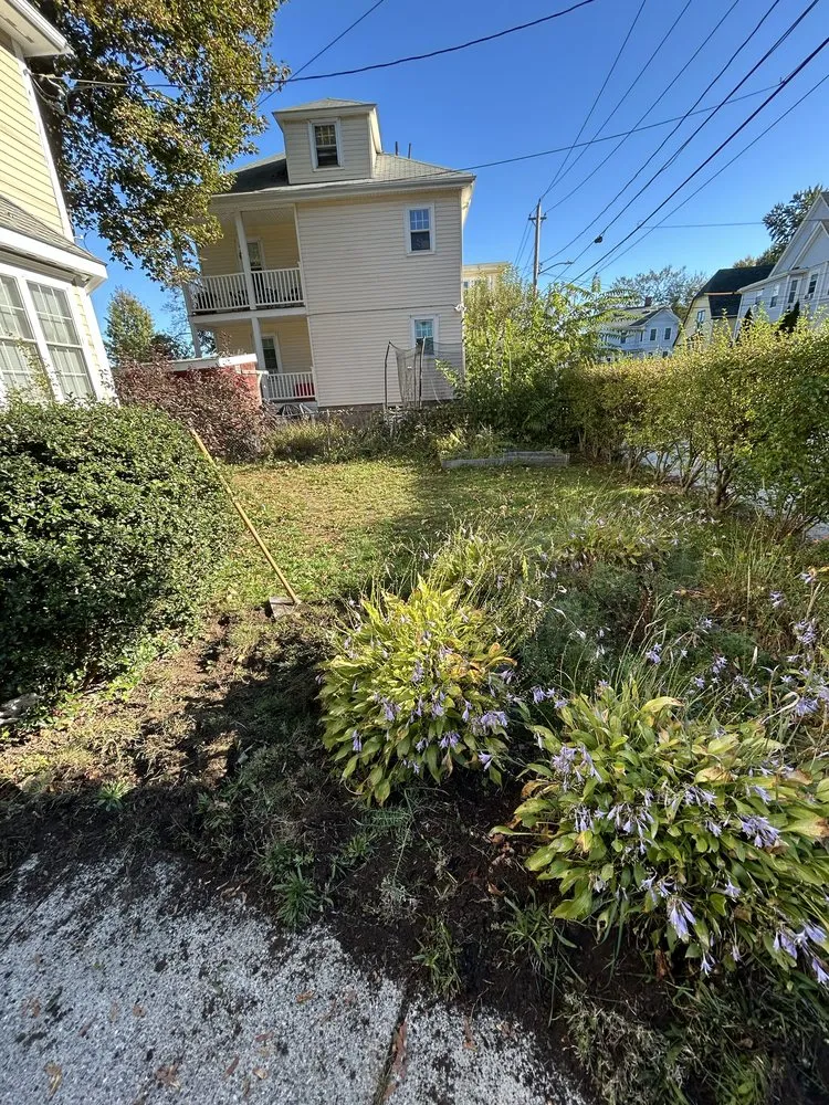 Professional landscaping services in Lynn, MA by D&W Tree Service and Landscaping