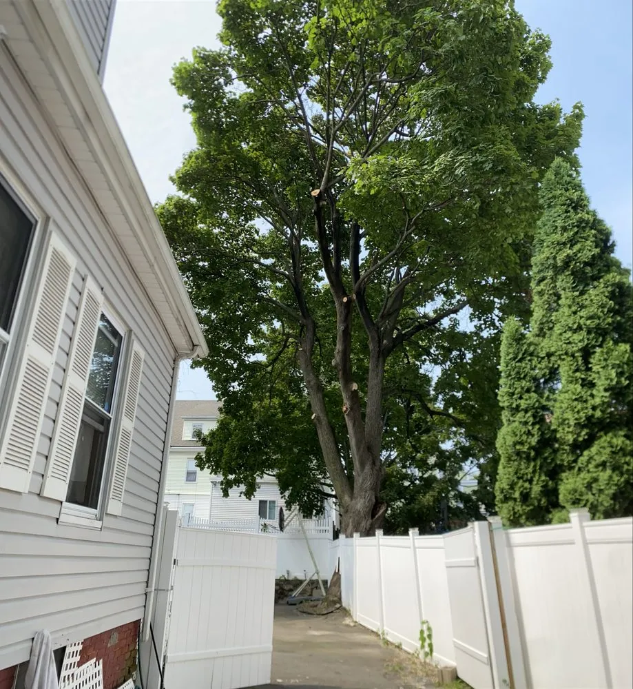 Trusted landscape installation in Lynn, MA by D&W Tree Service and Landscaping