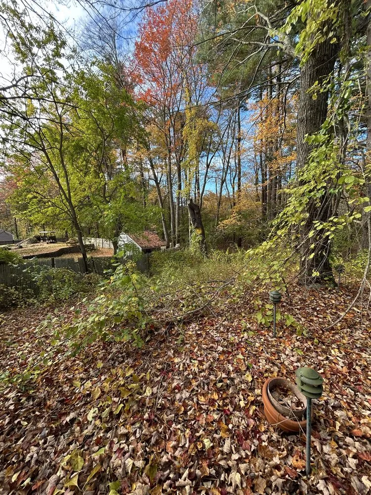 Reliable residential landscaping in Lynn, MA - D&W Tree Service and Landscaping