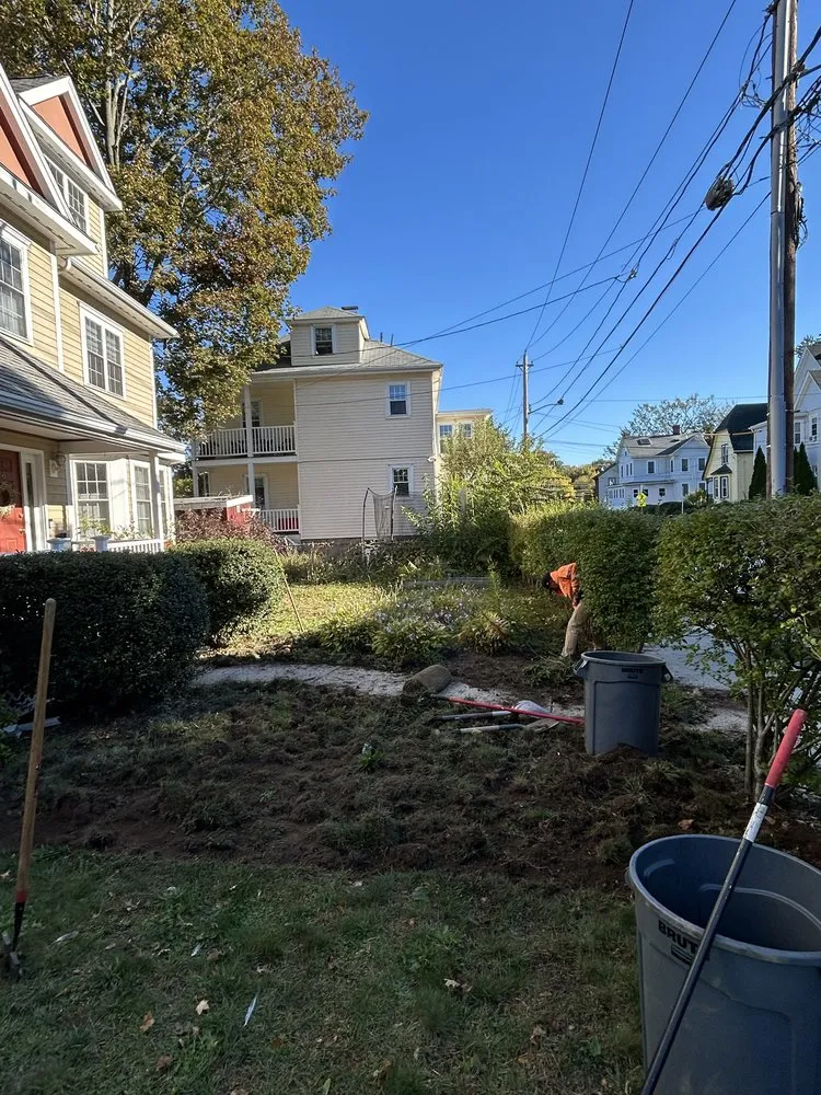 Affordable lawn mowing service experts serving Lynn, MA - D&W Tree Service and Landscaping