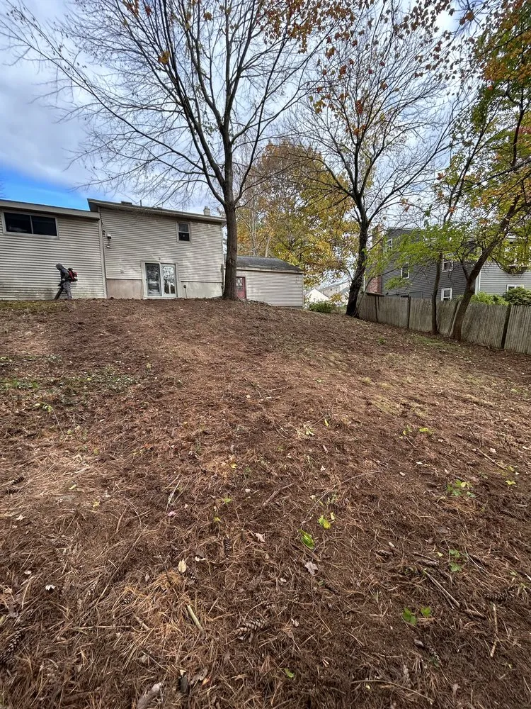 Reliable residential landscaping in Lynn, MA by D&W Tree Service and Landscaping