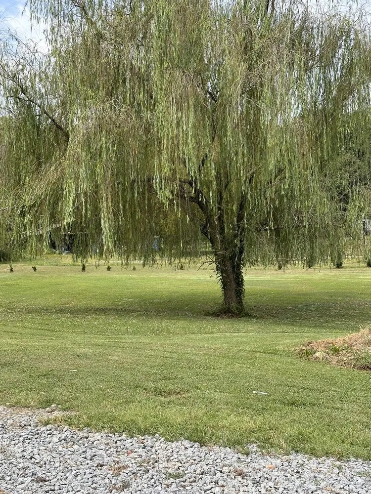 Trusted lawn care service for residential properties in Cleveland, TN by Dwan’s Lawn Care