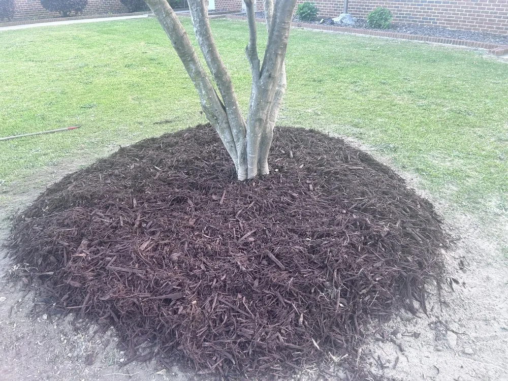 Reliable lawn mowing service experts serving Shannon, NC - Dwayne Foundation Landscaping
