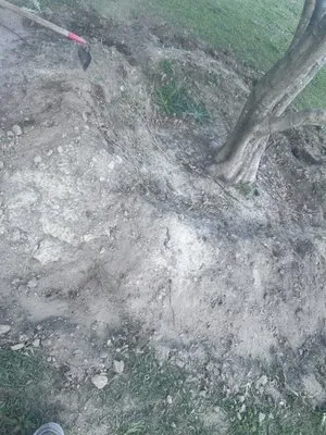 Dwayne Foundation Landscaping