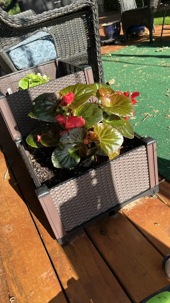 Professional landscaping services experts serving Aubrey, TX - Dwayne O'Dell Landscape & Nursery