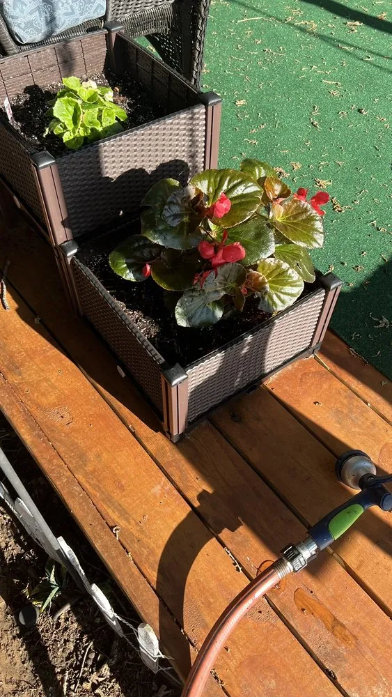 Custom yard cleanup service for outdoor upgrades across Aubrey, TX - Dwayne O'Dell Landscape & Nursery