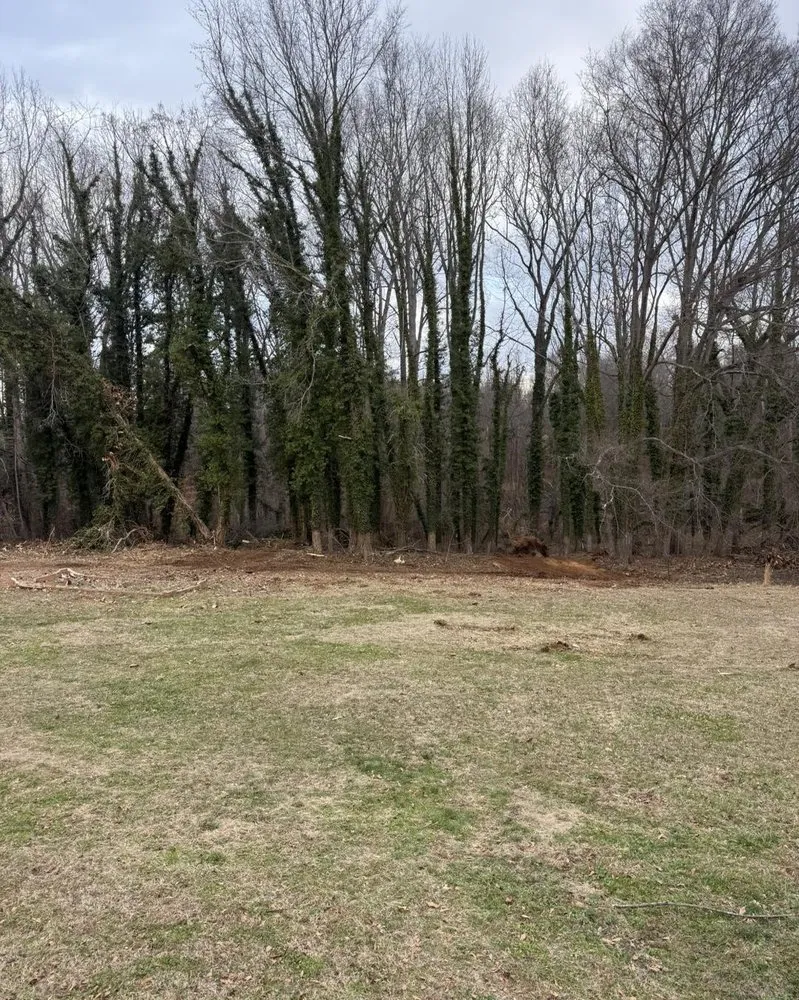 Custom lawn mowing service experts serving Casar, NC - DWC Land Management