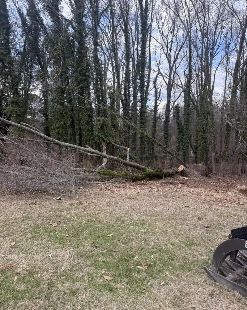 Local residential landscaping for year-round maintenance in Casar, NC by DWC Land Management