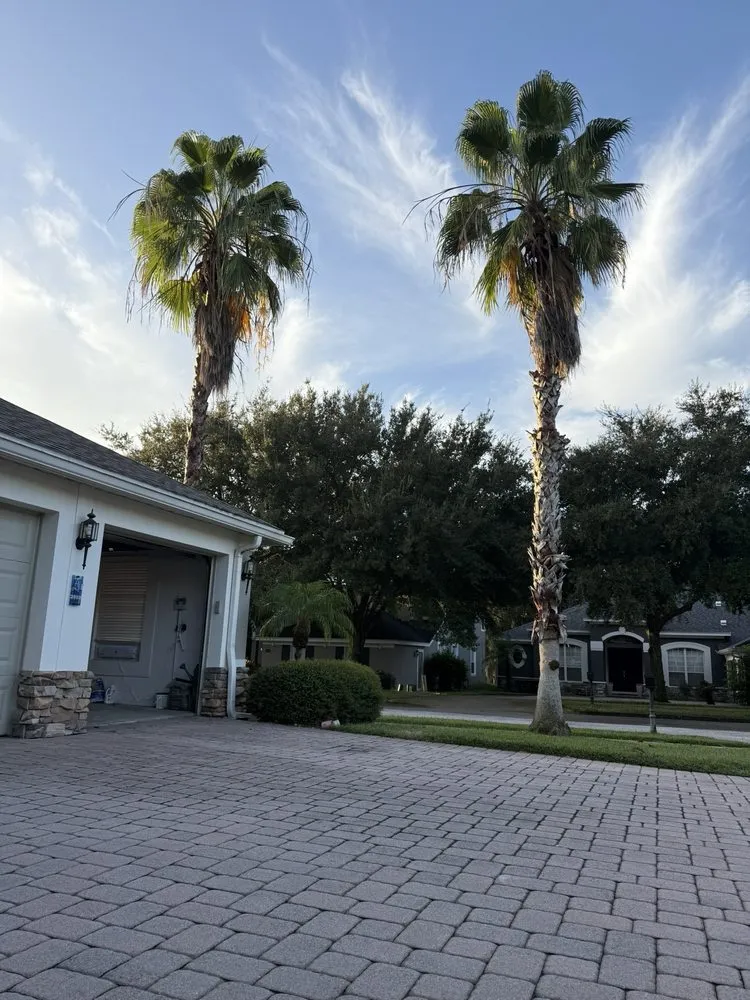 Custom lawn care service for outdoor upgrades in Minneola, FL by DWC Outdoors & Hauling