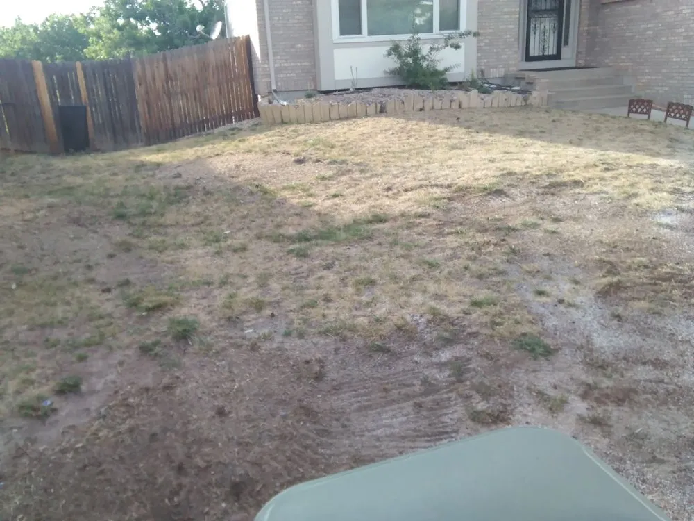 Expert yard cleanup service in Aurora, CO - DWD Services