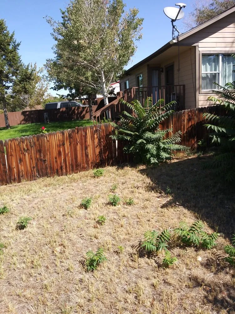 Trusted residential landscaping for year-round maintenance across Aurora, CO - DWD Services