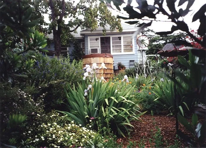 Expert outdoor landscaping with custom design across Los Angeles, CA - Dwell by Design