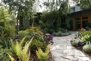 Local residential landscaping in Los Angeles, CA - Dwell by Design