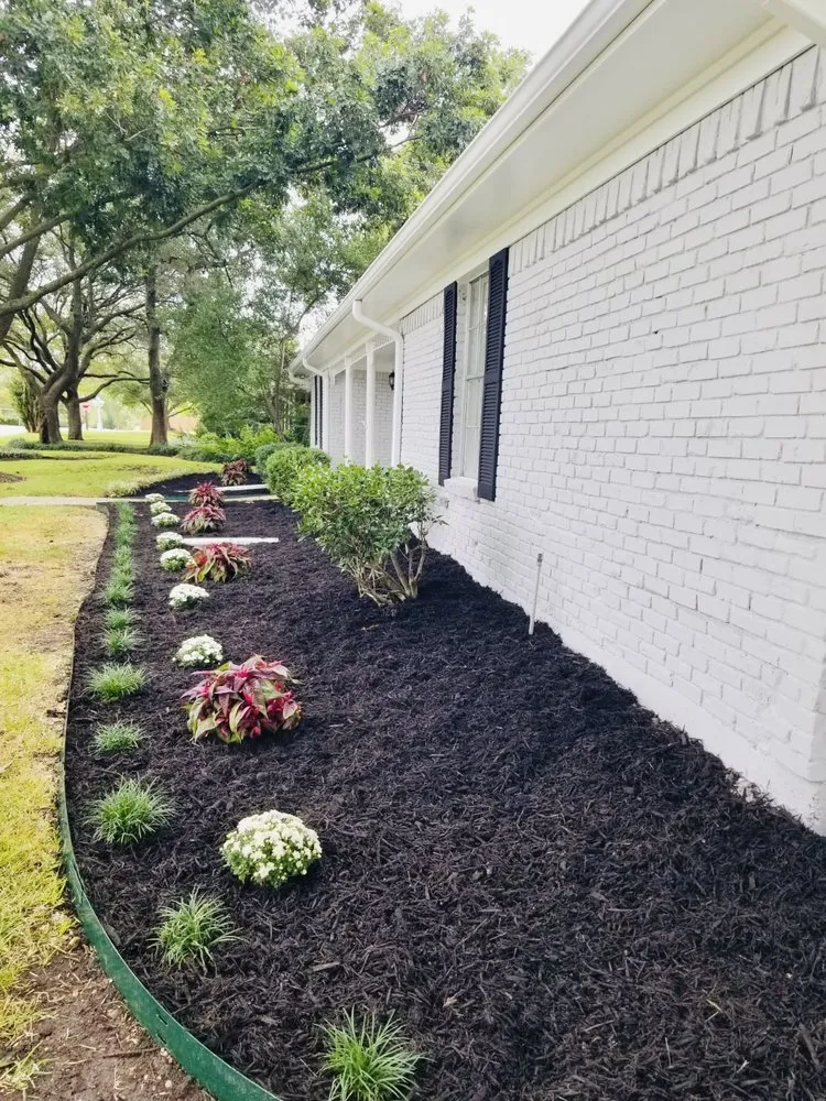 Trusted landscaping services experts serving Dallas, TX - Dwf Landscape Solutions