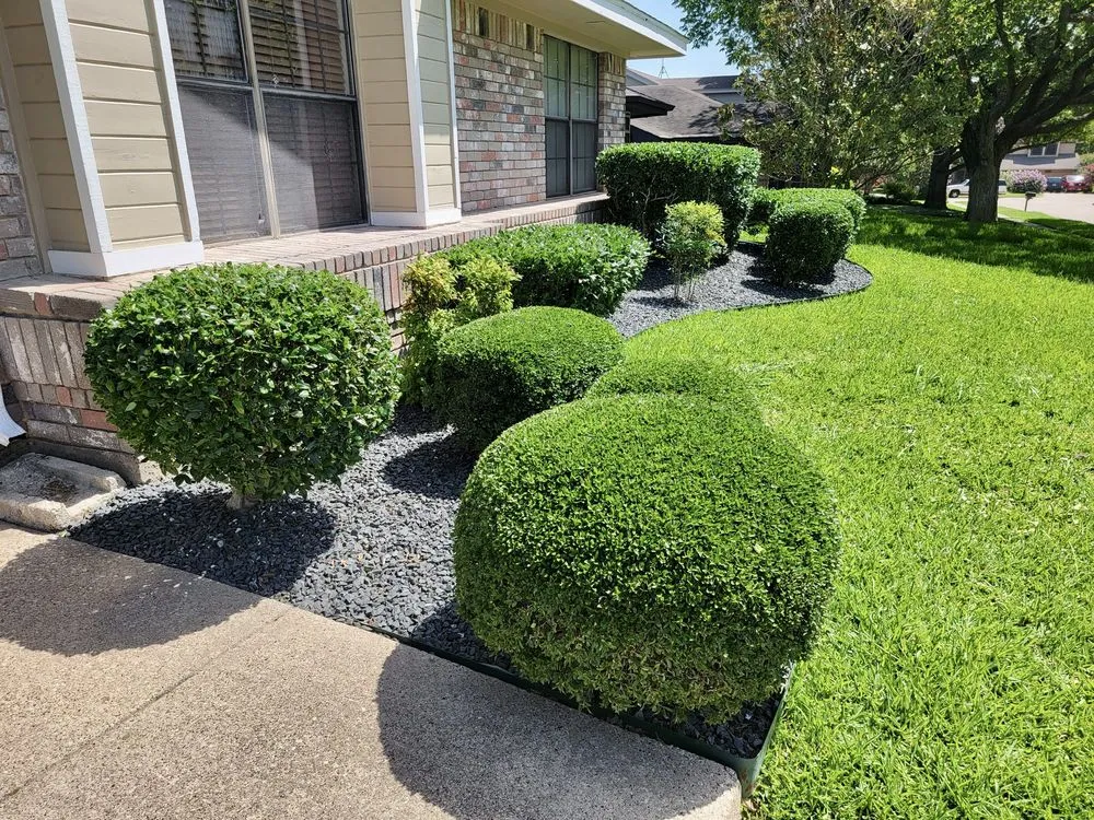 Top-rated landscape design near you across Dallas, TX - Dwf Landscape Solutions