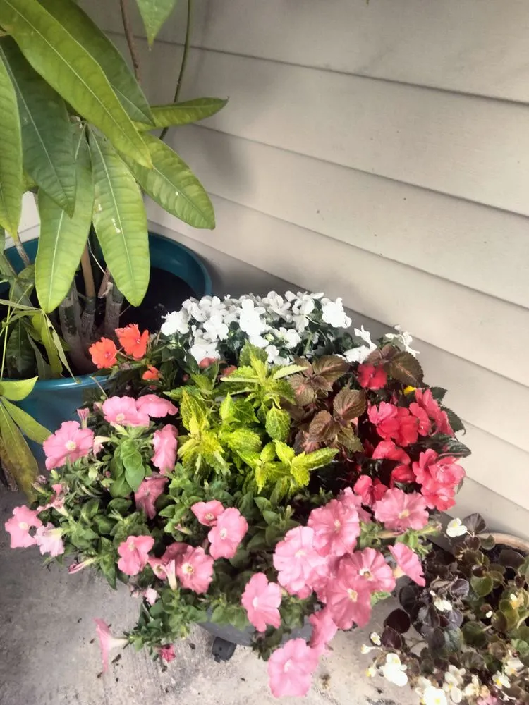 Local lawn care service in Spring Hill, FL by Dwight's Landscaping