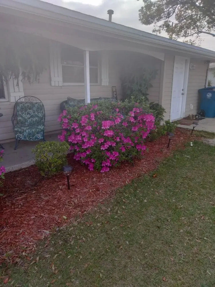 Affordable outdoor landscaping for outdoor upgrades across Spring Hill, FL - Dwight's Landscaping