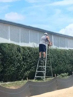 Dwight's Landscaping Logo