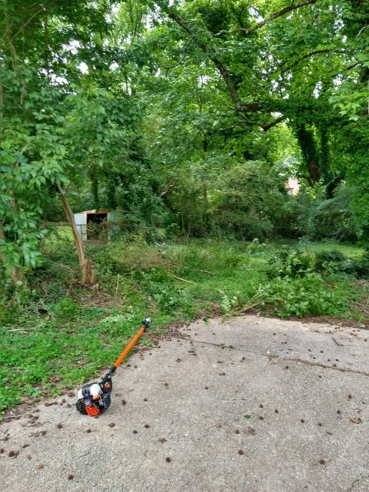 Affordable yard maintenance for year-round maintenance across Atlanta, GA - DWJ Professional Services