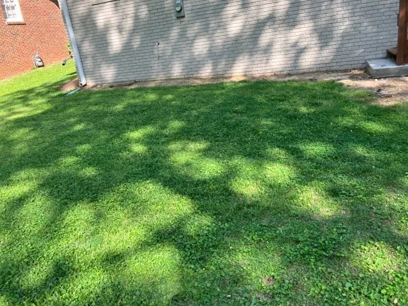 Professional garden landscaping experts serving Decatur, GA - DWJ Professional Services