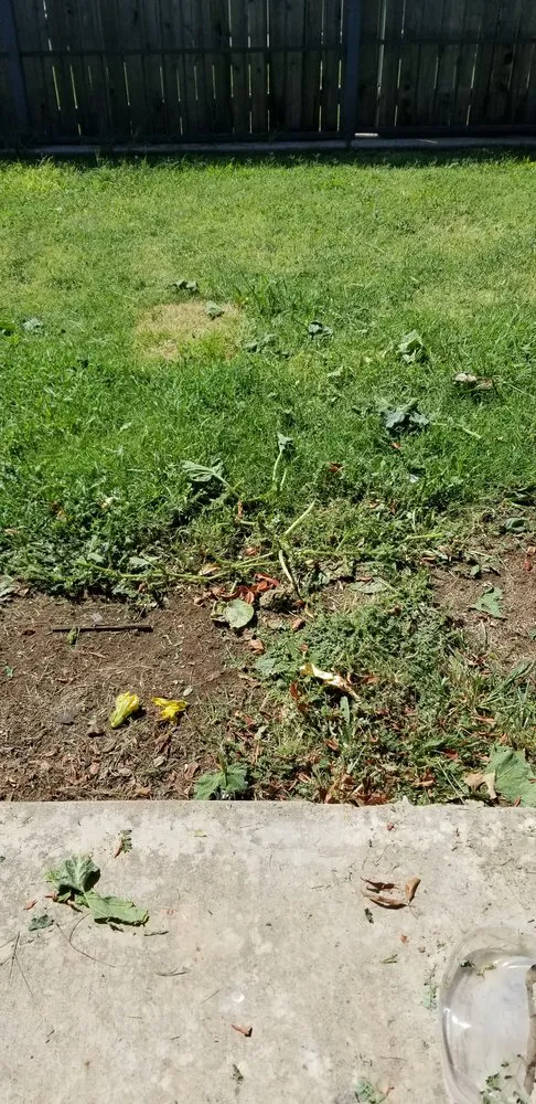 Affordable lawn care service experts serving Goldsby, OK - DWM Lawn & fence