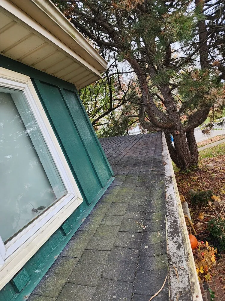 Custom landscape installation for residential properties in Lansing, IL by Dworknetic