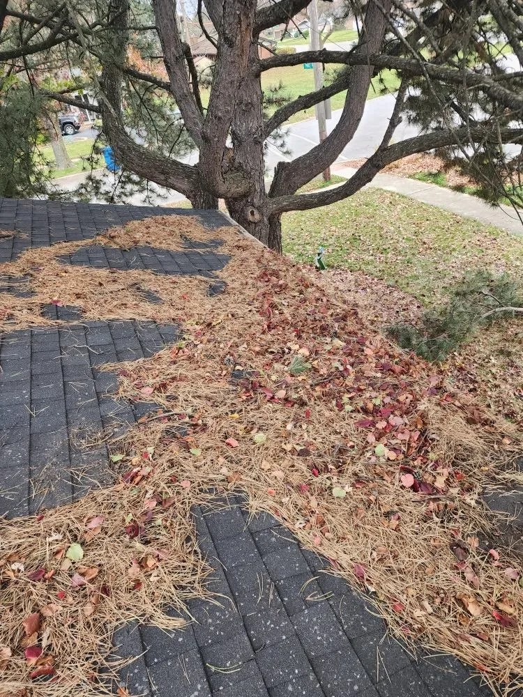 Local garden landscaping for beautiful yards across Lansing, IL - Dworknetic