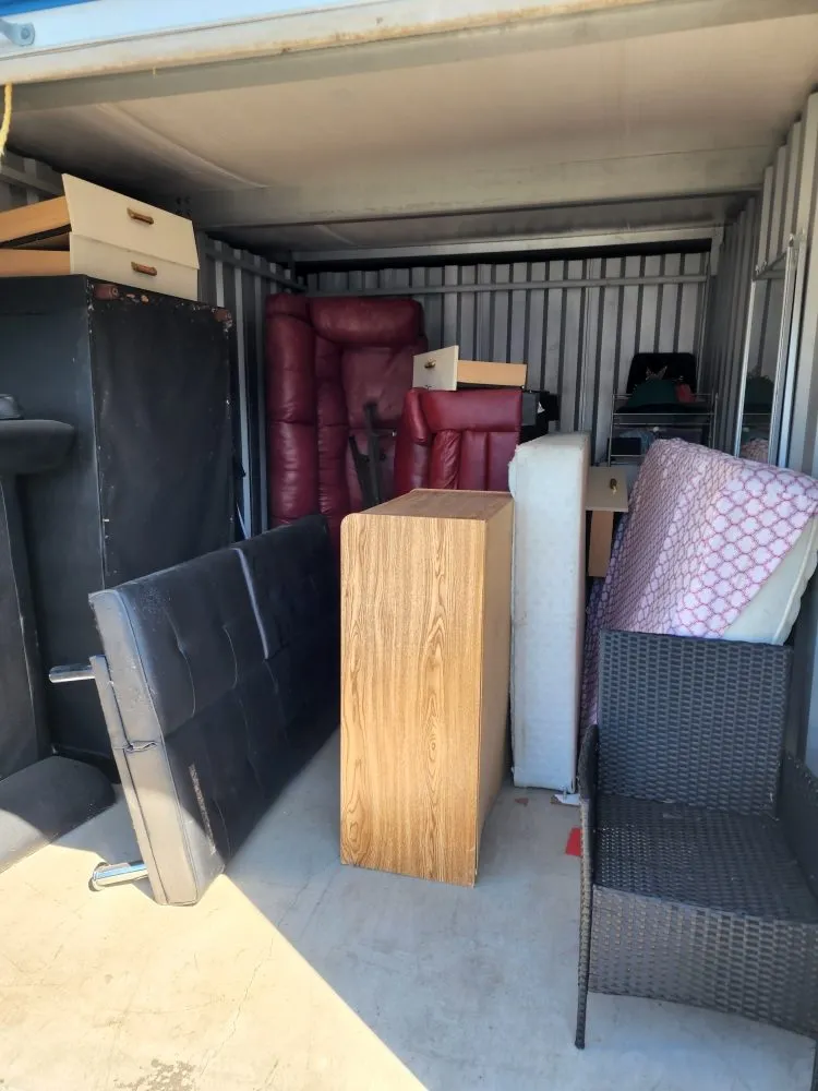 Top-rated yard cleanup service in Lansing, IL by Dworknetic