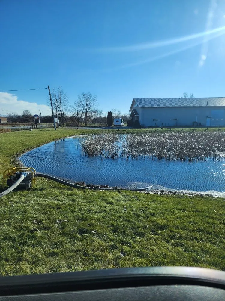 Professional landscape design in Lansing, IL by Dworknetic