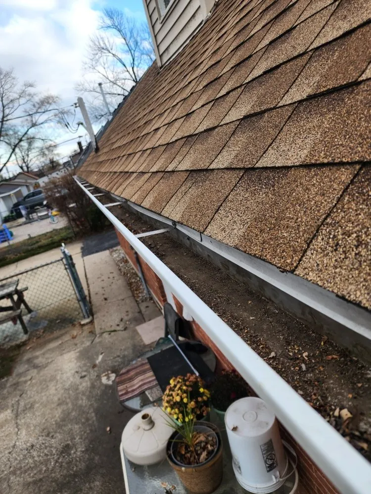 Trusted yard cleanup service in Lansing, IL by Dworknetic