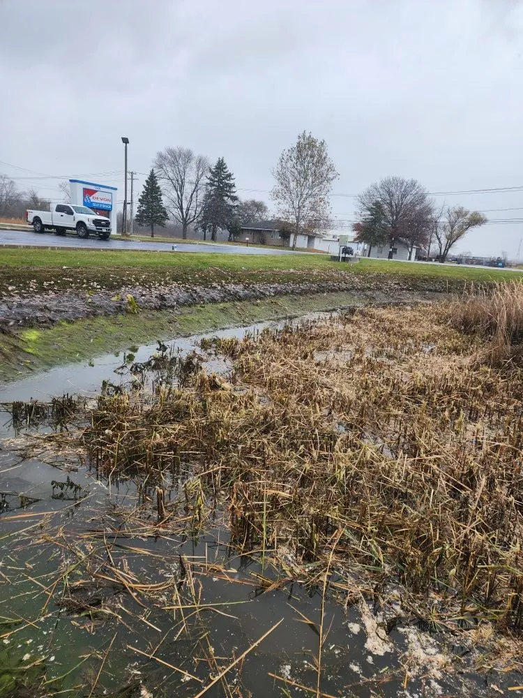 Expert garden landscaping near you in Lansing, IL by Dworknetic