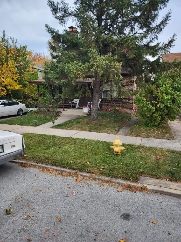 Affordable lawn care service in Lansing, IL - Dworknetic