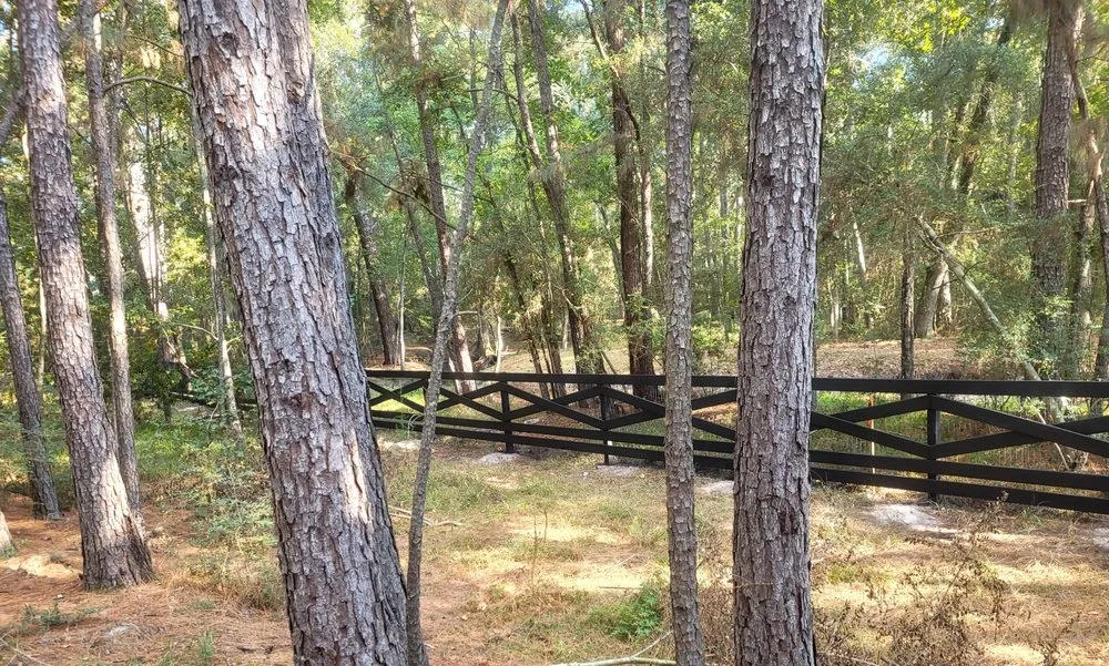 Expert landscaping services for beautiful yards across Magnolia, TX - DWS Fencing