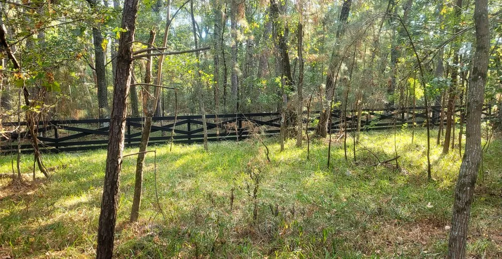 Local landscape design for year-round maintenance across Magnolia, TX - DWS Fencing