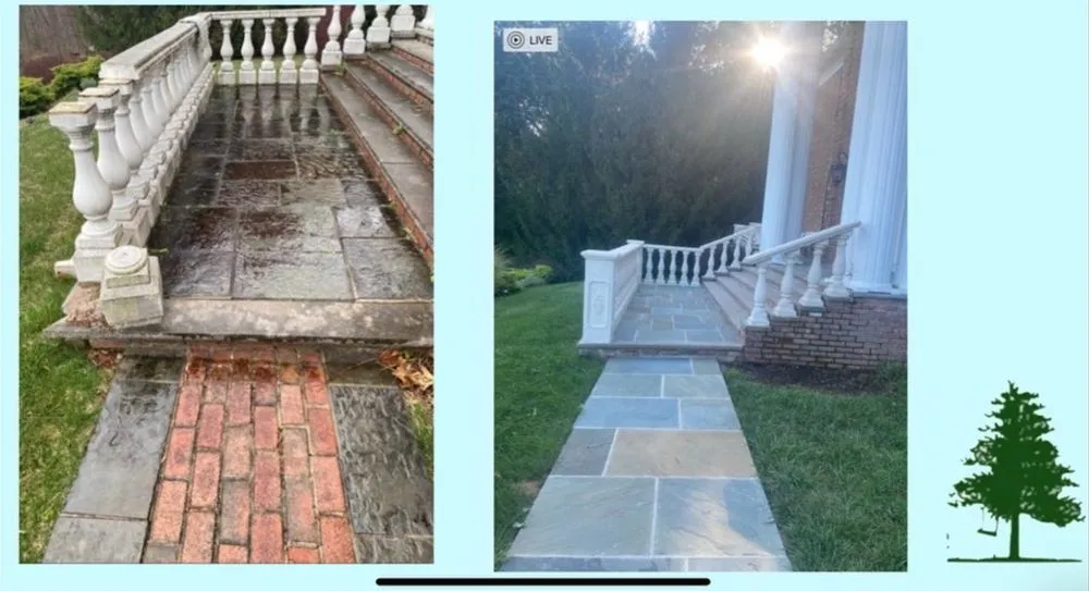Custom outdoor landscaping for beautiful yards in Mendham, NJ by DWS Landscaping