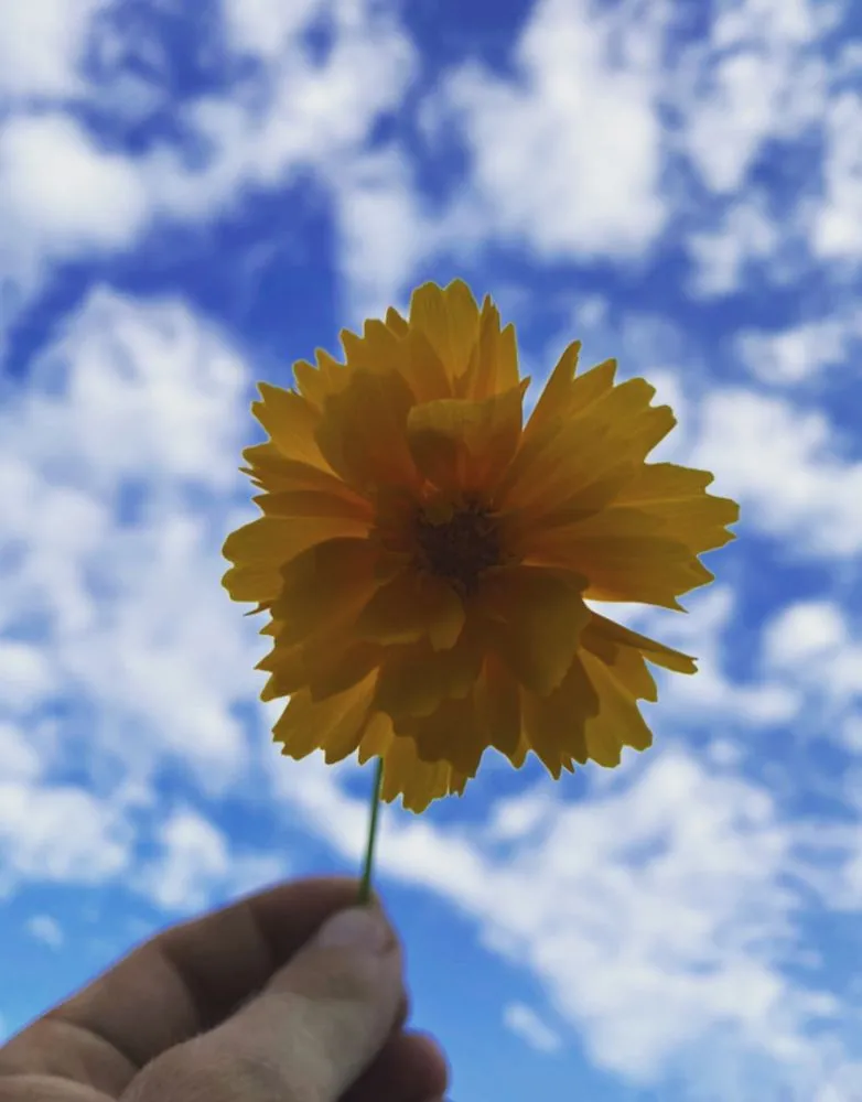 Local lawn mowing service in Mendham, NJ - DWS Landscaping