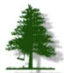 Custom lawn care service near you across Mendham, NJ - DWS Landscaping