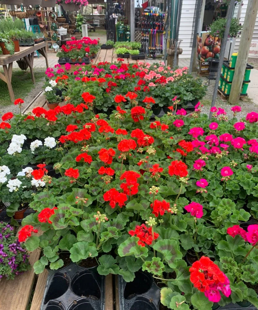 Professional residential landscaping for beautiful yards across Mendham, NJ - DWS Landscaping