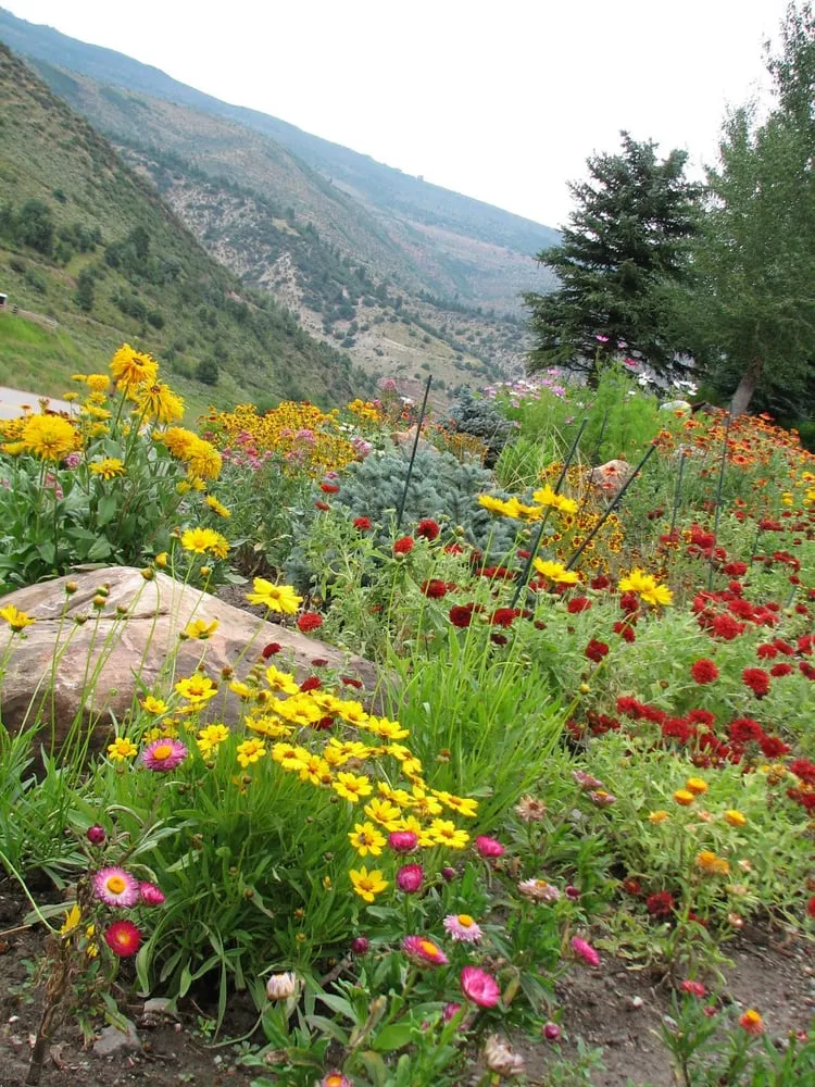 Trusted landscaping services with custom design in Rifle, CO by Dwyer Greens & Flowers