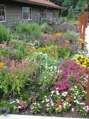 Dwyer Greens & Flowers