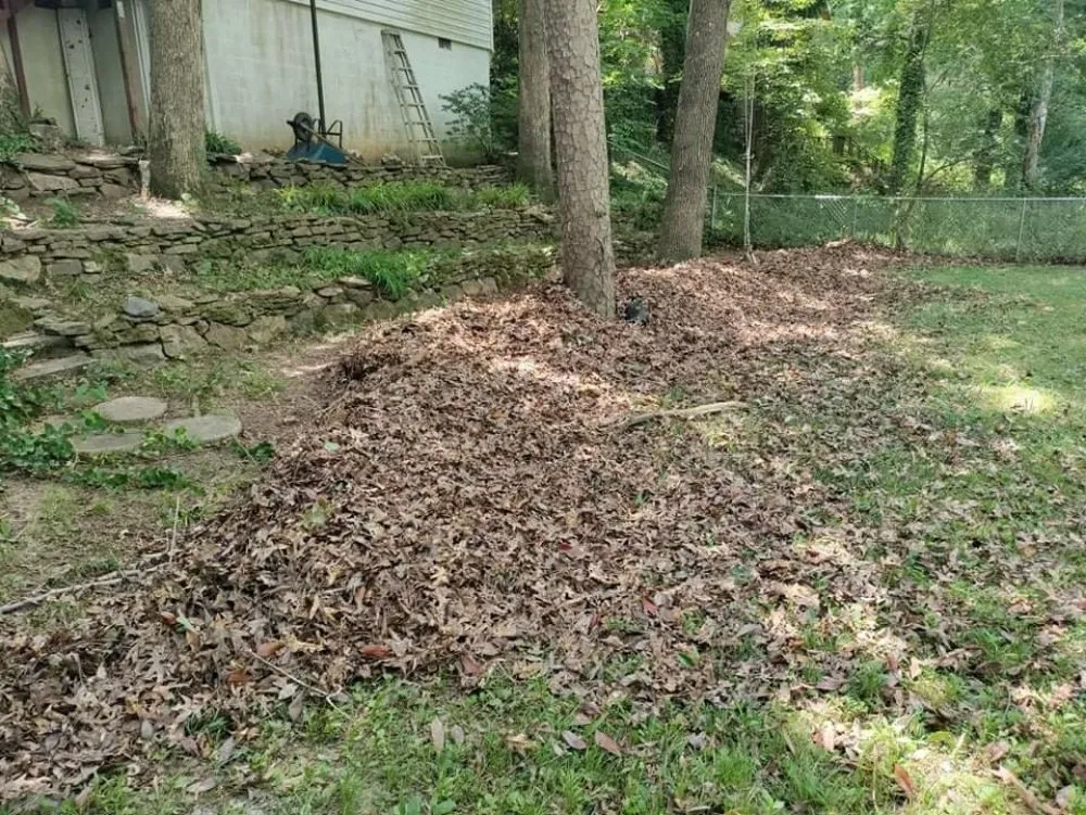 Custom lawn mowing service in Hutchinson, KS - Dwyers Lawn Service