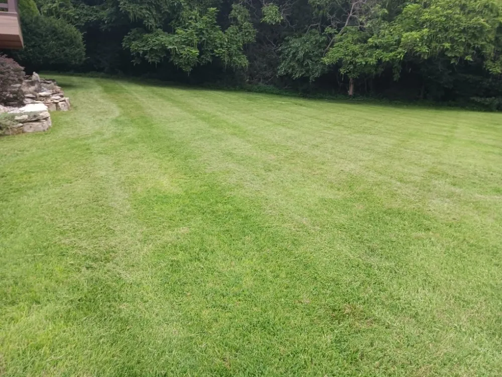 Trusted landscape installation for year-round maintenance across Hutchinson, KS - Dwyers Lawn Service