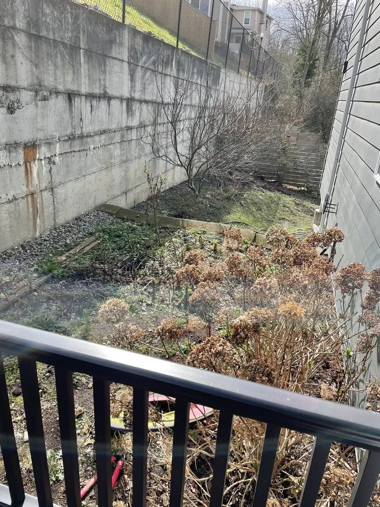 Local garden landscaping in Seattle, WA by DX Landscaping and Hauling Services