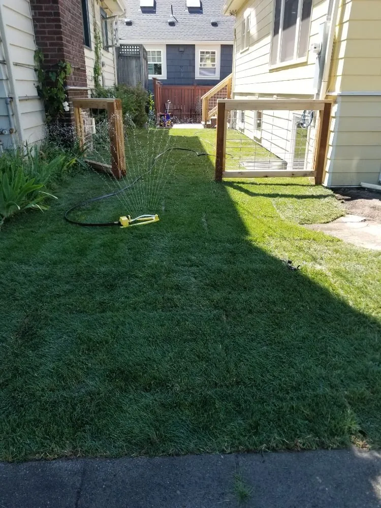 Affordable garden landscaping near you in Seattle, WA by DX Landscaping and Hauling Services