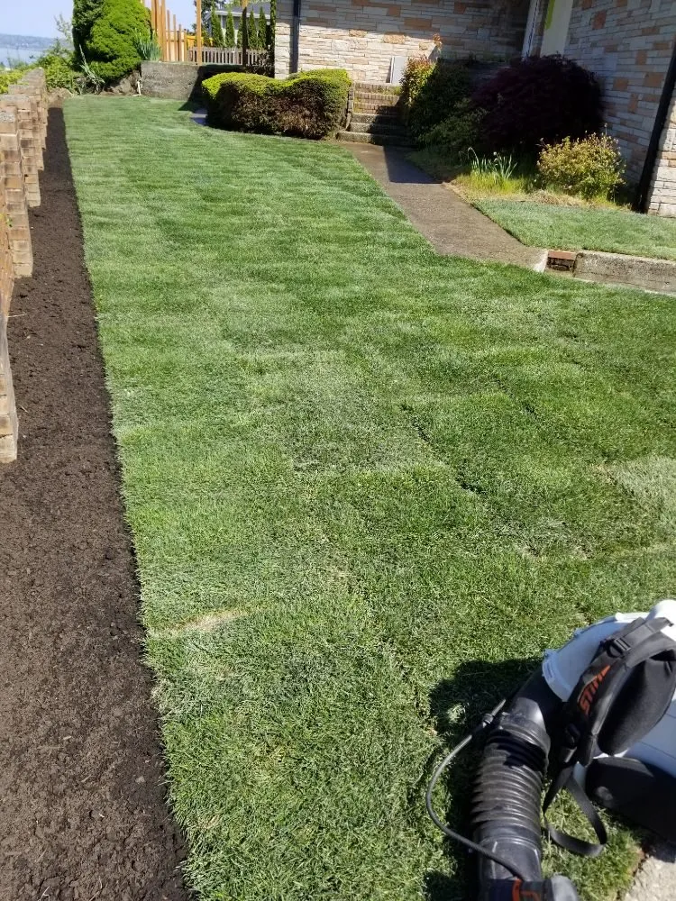 Expert outdoor landscaping near you in Seattle, WA by DX Landscaping and Hauling Services