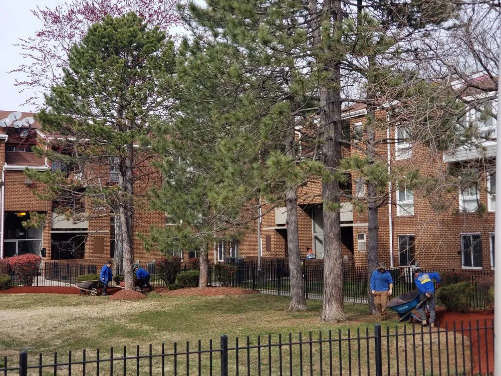 Reliable garden landscaping in Fort Washington, MD by D&Y Contractors