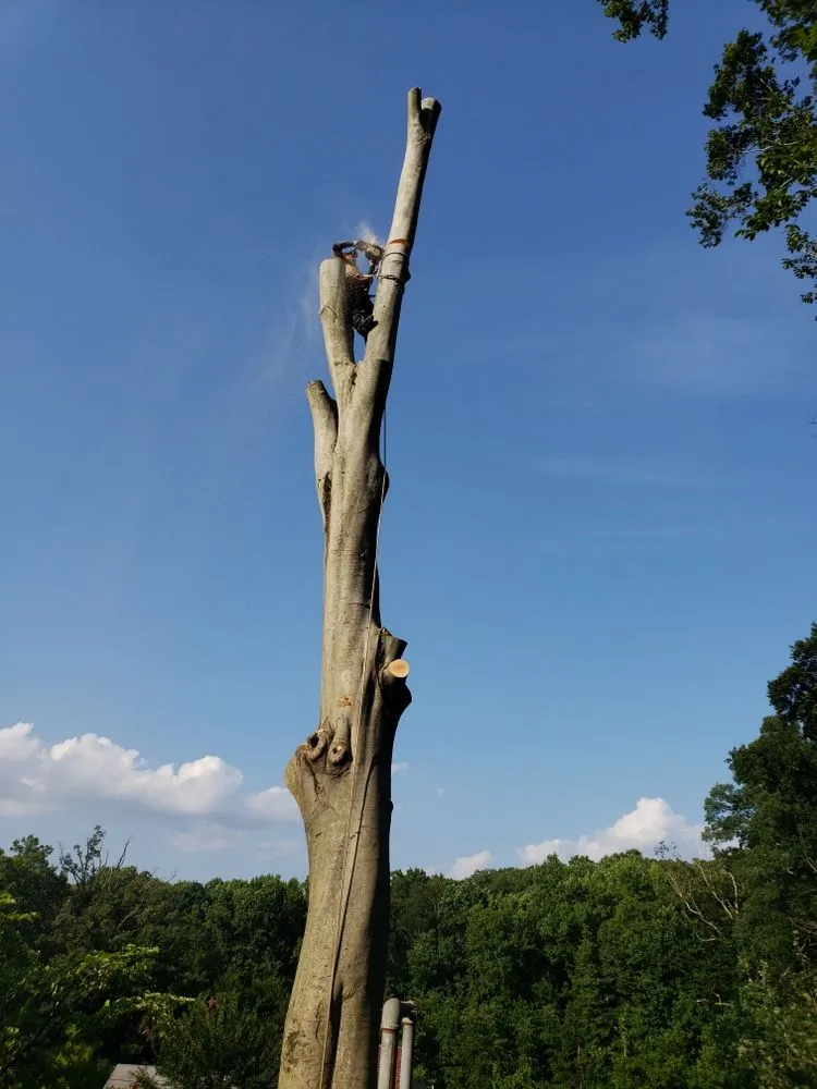 Affordable outdoor landscaping experts serving Fort Washington, MD - D&Y Contractors