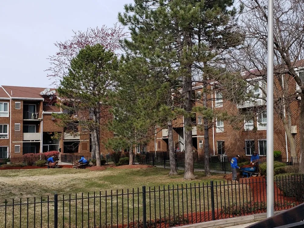 Affordable landscape installation for homes in Fort Washington, MD by D&Y Contractors