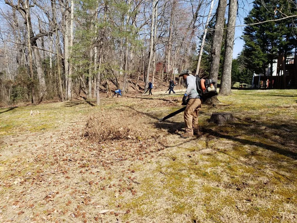 Reliable landscape design in Fort Washington, MD - D&Y Contractors